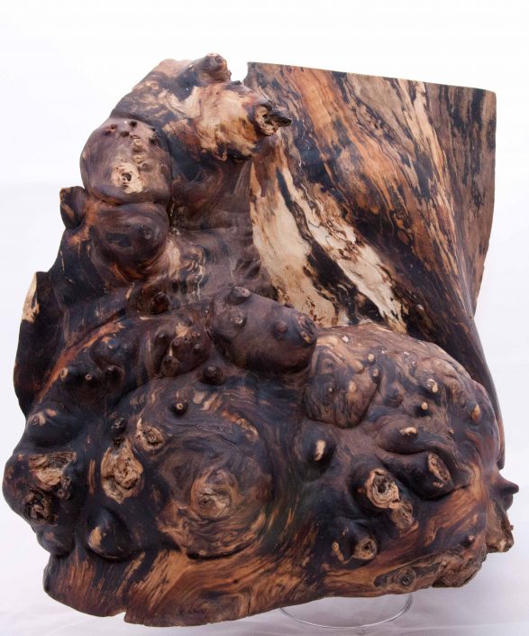 Skulptur Maserknolle (1 von 1)